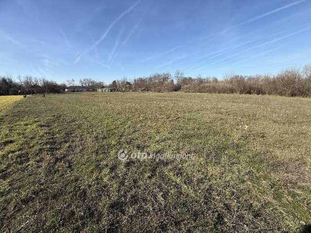 Eladó telek, Tiszakécskén 2.5 M Ft / költözzbe.hu
