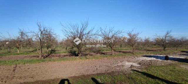 Eladó családi ház, Cegléden 85 M Ft, 3 szobás