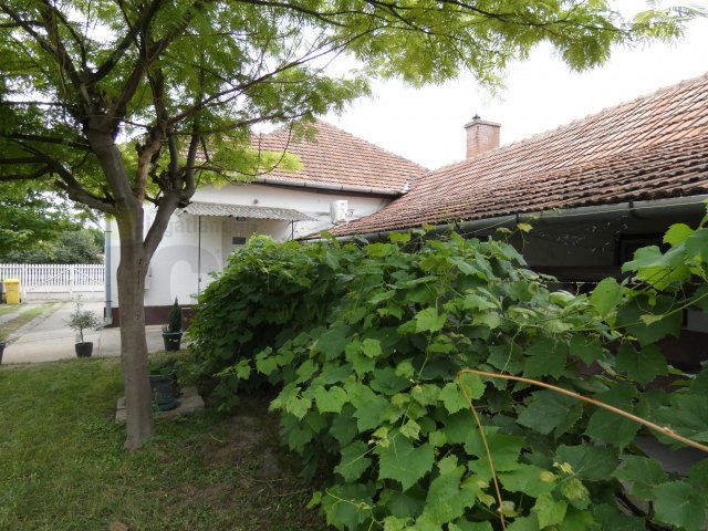 Eladó családi ház, Röszkén 70 M Ft, 3 szobás