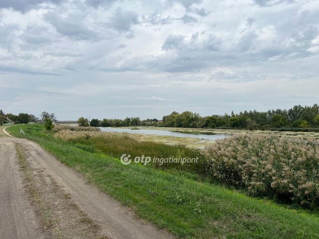 Eladó telek, Mezőtúron 16.5 M Ft / költözzbe.hu