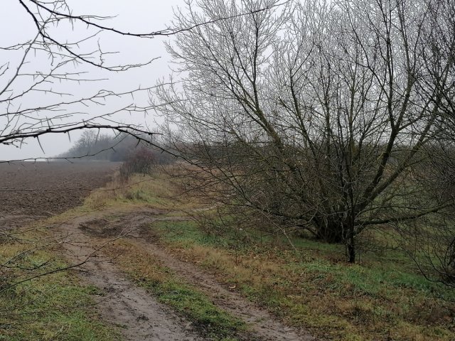 Eladó telek, Maglódon 170 M Ft / költözzbe.hu