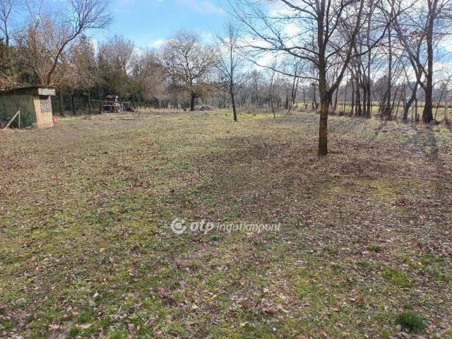 Kiadó családi ház, albérlet, Nyíregyházán 800 E Ft / hó