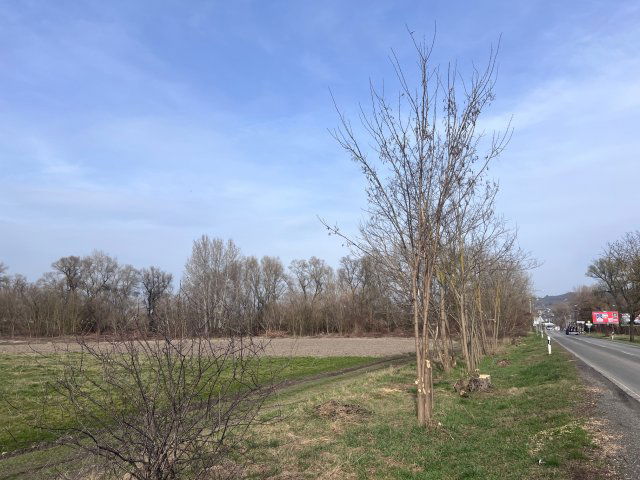Eladó mezogazdasagi ingatlan, Esztergomban, Táti úton 6.9 M Ft