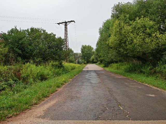 Eladó mezogazdasagi ingatlan, Ajkán 112 M Ft