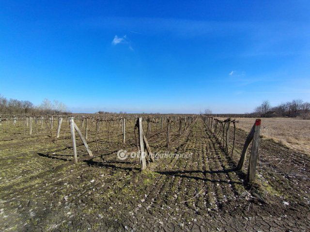 Eladó telek, Csengődön 37.9 M Ft / költözzbe.hu
