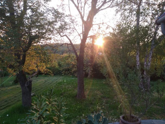 Eladó telek, Orfűn, Fő utcában 19.9 M Ft / költözzbe.hu