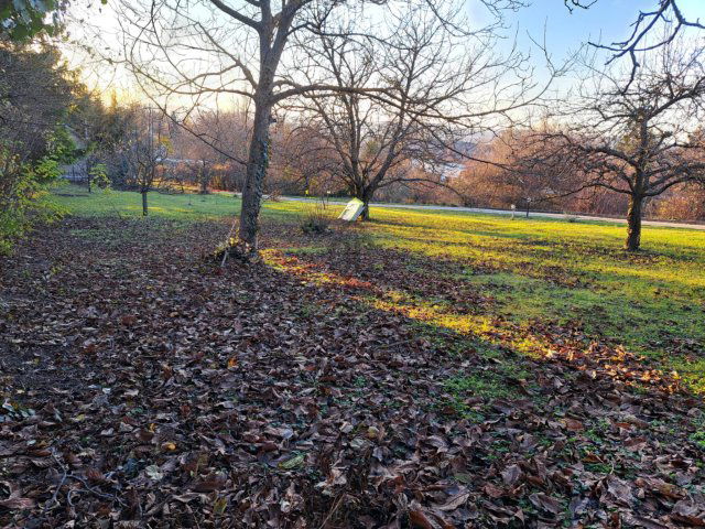 Eladó telek, Budakeszin 69 M Ft / költözzbe.hu