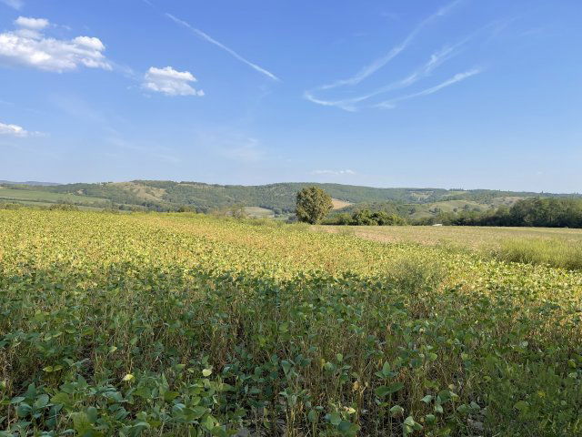 Eladó mezogazdasagi ingatlan, Zalaszentlászlón 6.5 M Ft