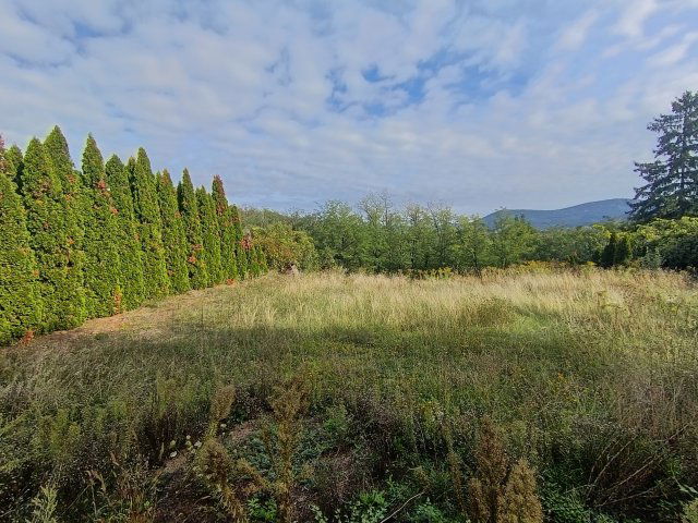 Eladó telek, Solymáron, Terstyánszky Ödön utcában 64 M Ft