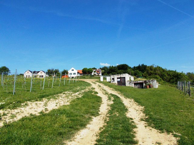 Eladó mezogazdasagi ingatlan, Ábrahámhegyen 59 M Ft