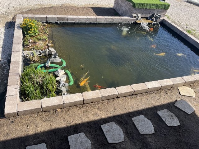 Eladó családi ház, Péterin 258 M Ft, 5 szobás