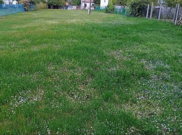 Eladó telek, Balatonszárszón 65 M Ft / költözzbe.hu