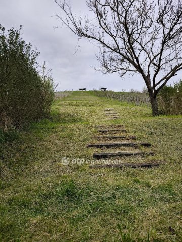 Eladó mezogazdasagi ingatlan, Zalaszentgróton 30 M Ft