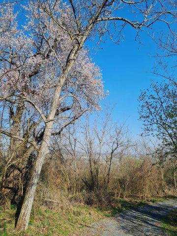Eladó mezogazdasagi ingatlan, Mindszentkállán 11.5 M Ft