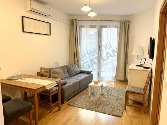 Kiadó téglalakás, albérlet, VI. kerületben, Király utcában