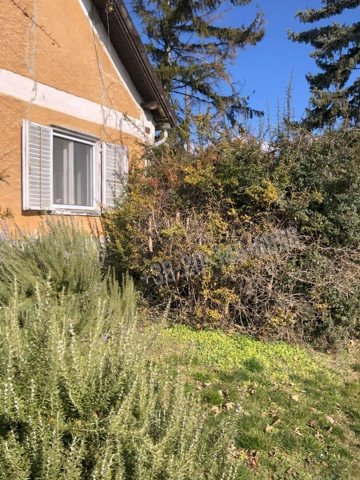 Eladó családi ház, Csopakon 88 M Ft, 5 szobás