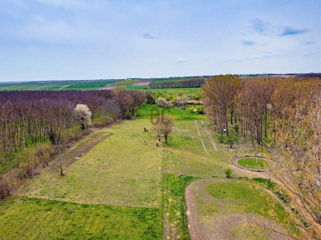 Eladó mezogazdasagi ingatlan, Mányon 300 M Ft, 5 szobás