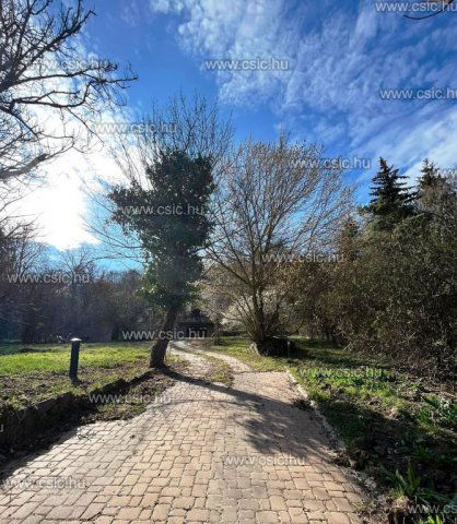 Eladó családi ház, Leányfaluban 400 M Ft, 11 szobás