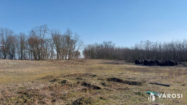 Eladó mezogazdasagi ingatlan, Hosszúpályin 599 M Ft