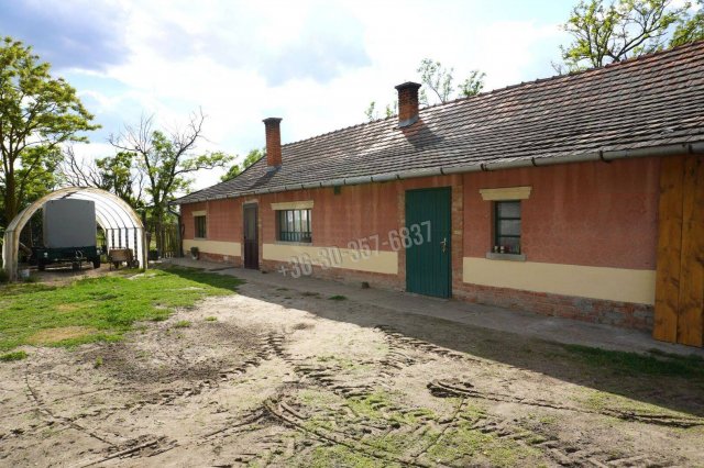 Eladó mezogazdasagi ingatlan, Balástyán 32.9 M Ft, 3 szobás