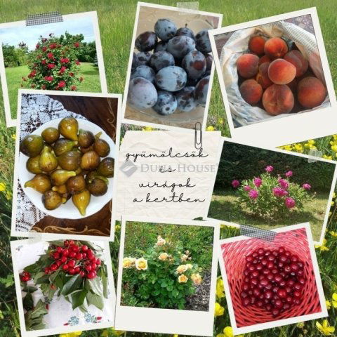 Eladó családi ház, Balatonvilágoson 149.9 M Ft, 4 szobás