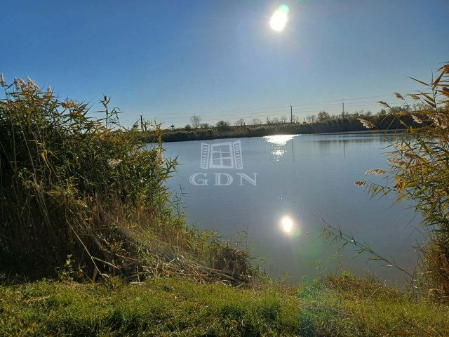 Eladó telek, Tiszakécskén 129 M Ft / költözzbe.hu