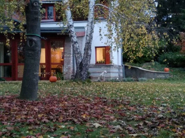 Eladó családi ház, Budajenőn 175 M Ft, 4 szobás