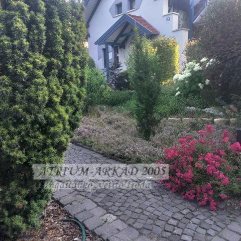 Eladó családi ház, Zsámbékon 268 M Ft, 5 szobás