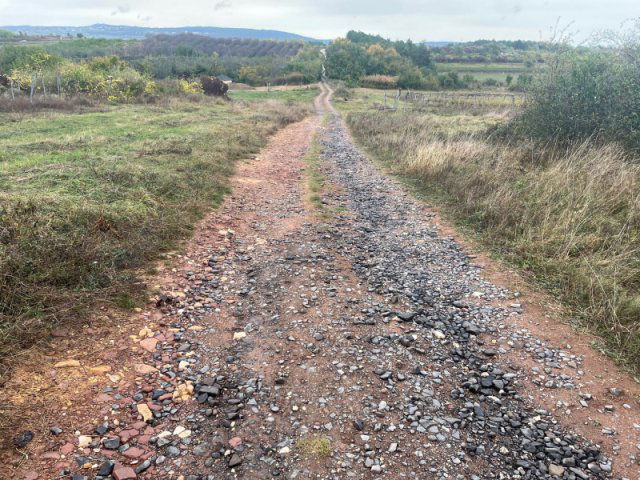 Eladó mezogazdasagi ingatlan, Zánkán 24.951 M Ft