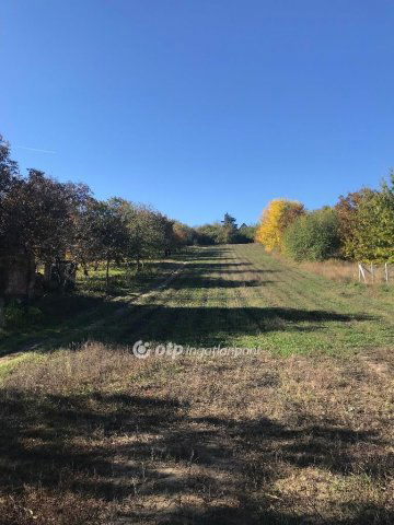 Eladó telek, Pázmándon 25 M Ft / költözzbe.hu