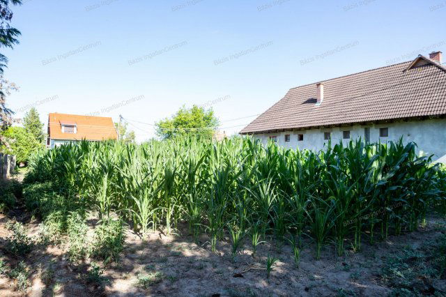 Eladó telek, Dávodon 0.9 M Ft / költözzbe.hu