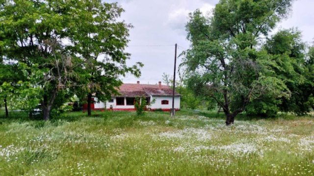 Eladó mezogazdasagi ingatlan, Borotán 15.99 M Ft