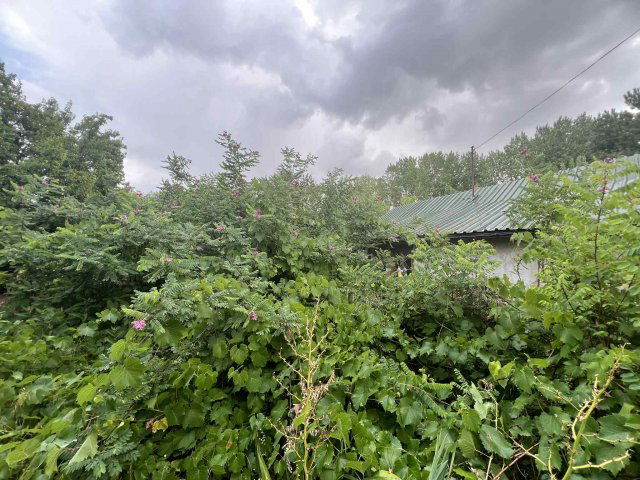 Eladó családi ház, Tápiószőlősön, Tulipán úton 8.25 M Ft