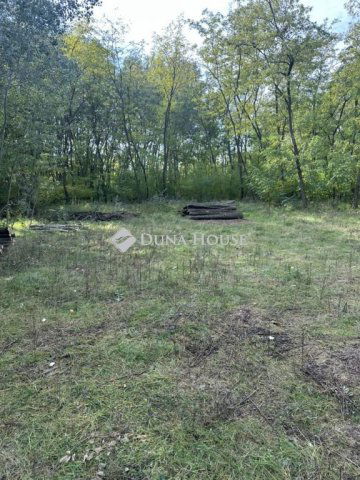 Eladó mezogazdasagi ingatlan, Kecskeméten 79.2 M Ft