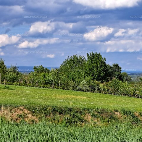 Eladó telek, Zalakaroson 7.5 M Ft / költözzbe.hu