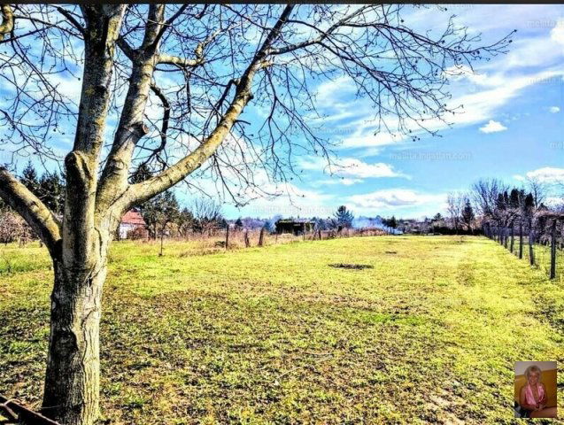 Eladó telek, Pellérden 1.9 M Ft / költözzbe.hu
