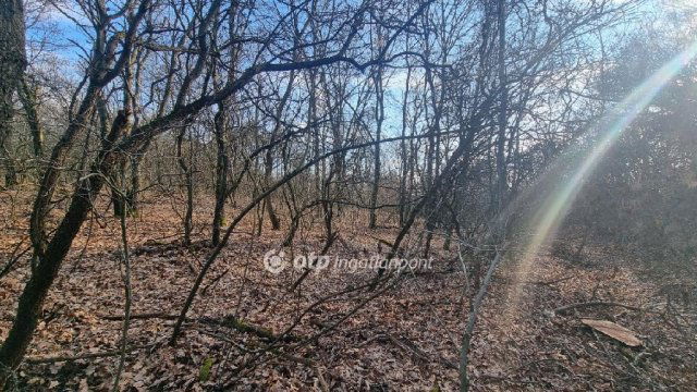 Eladó mezogazdasagi ingatlan, Pilisborosjenőn 12.99 M Ft