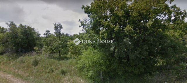Eladó mezogazdasagi ingatlan, Balatonudvariban 13.9 M Ft