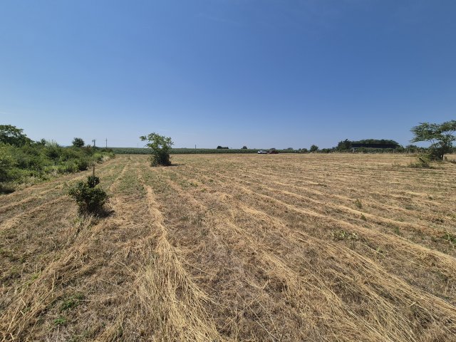 Eladó telek, Cserszegtomajon 19.9 M Ft / költözzbe.hu