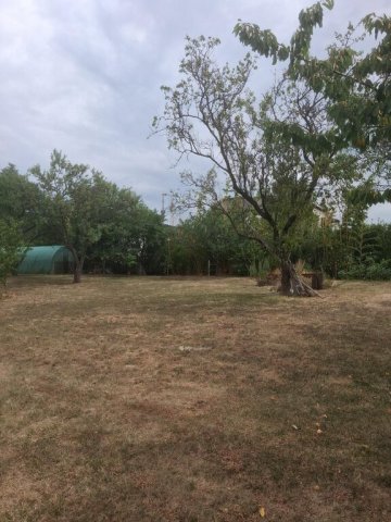 Eladó telek, Pécsett 42 M Ft / költözzbe.hu