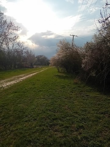 Eladó telek, Gyomaendrődön 5.99 M Ft / költözzbe.hu