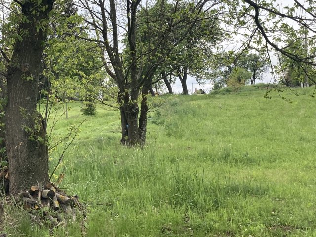 Eladó telek, Lukácsházán 9.9 M Ft / költözzbe.hu
