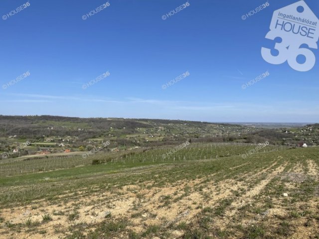 Eladó telek, Szekszárdon 9.95 M Ft / költözzbe.hu
