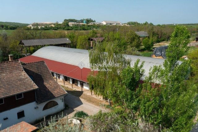 Eladó mezogazdasagi ingatlan, Zsámbékon 248 M Ft, 1 szobás