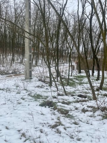 Eladó mezogazdasagi ingatlan, Nyíregyházán, Homok utcában