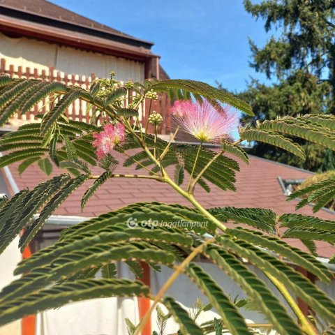 Eladó családi ház, Budapesten, III. kerületben 220 M Ft