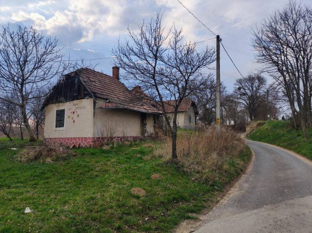 Eladó mezogazdasagi ingatlan, Zalaszabaron 4.5 M Ft, 1 szobás