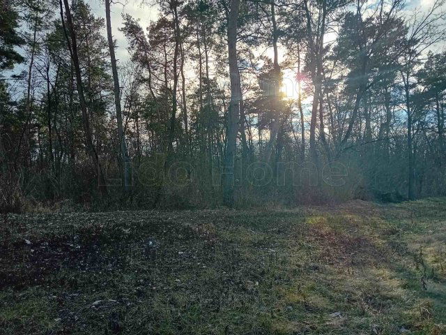 Eladó mezogazdasagi ingatlan, Győrött 20 M Ft