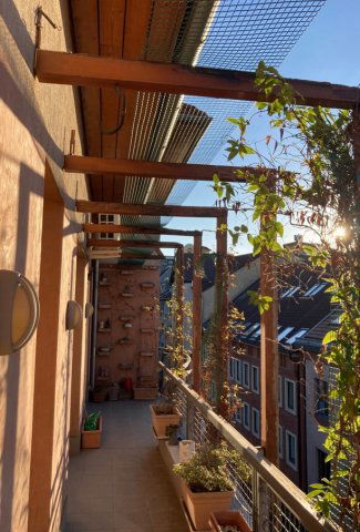 Kiadó téglalakás, albérlet, IX. kerületben, Páva utcában