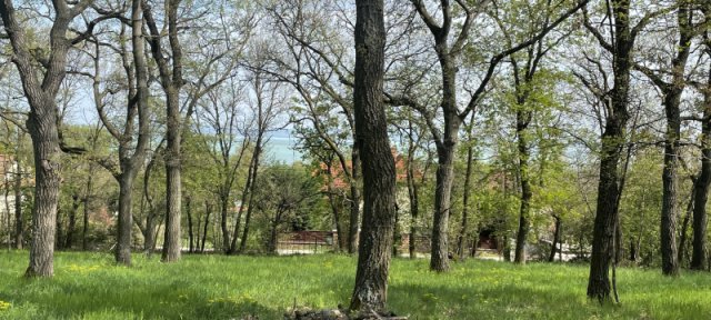 Eladó mezogazdasagi ingatlan, Balatonszepezden 34.9 M Ft